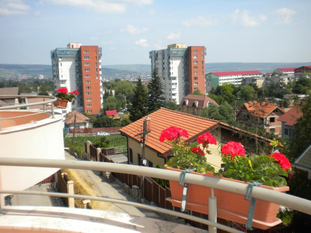 Pension Cluj Bagian luar foto